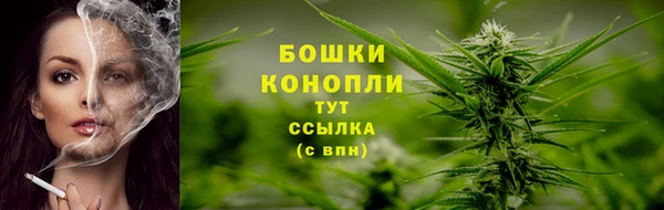 гидропоника Карпинск