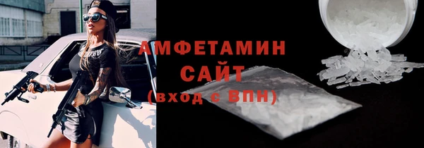 крисы Каменка