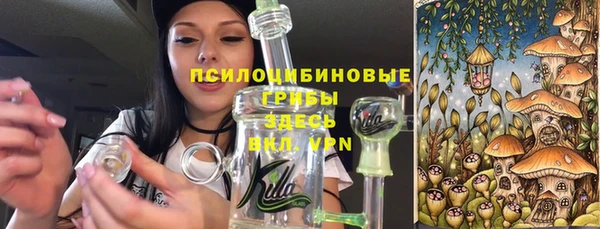 гидропоника Карпинск