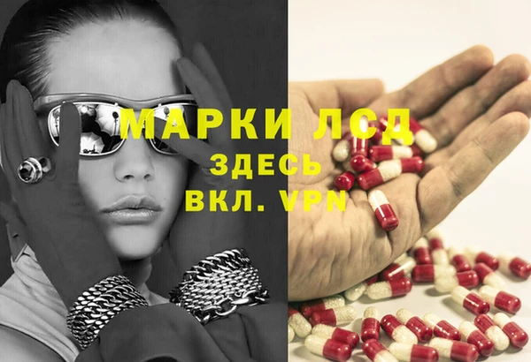 крисы Каменка
