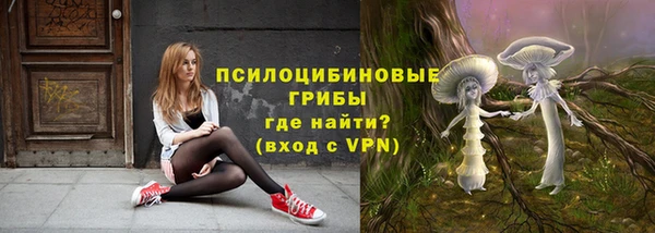 гидропоника Карпинск