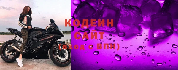 крисы Каменка
